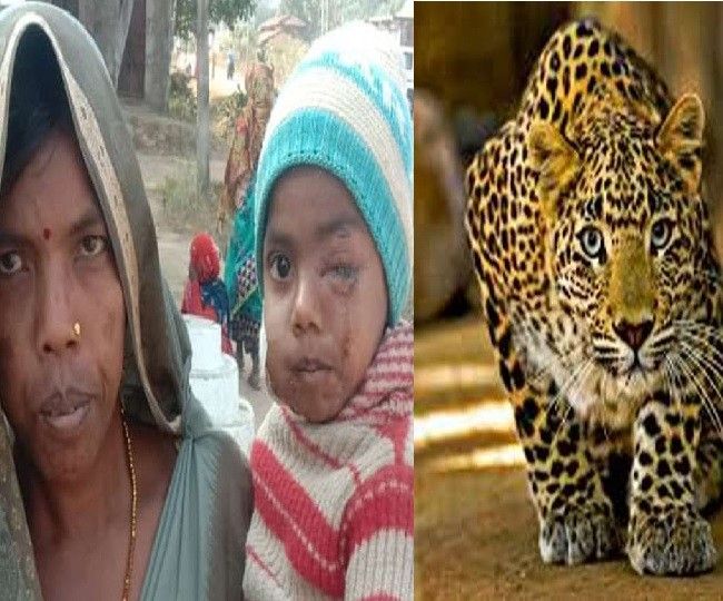 ग्वालियर का डरावना मामला: तेंदुए ने बच्चे पर किया हमला, मां ने ऐसे बचाई जान!