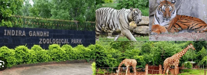 Gandhi Zoo