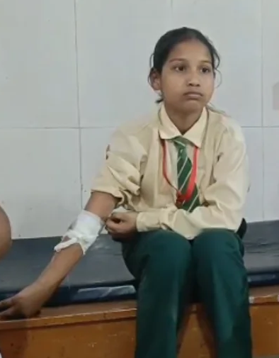 Morena: तेज रफ्तार स्कॉर्पियो ने बाइक को मारी टक्कर, तीन घायल