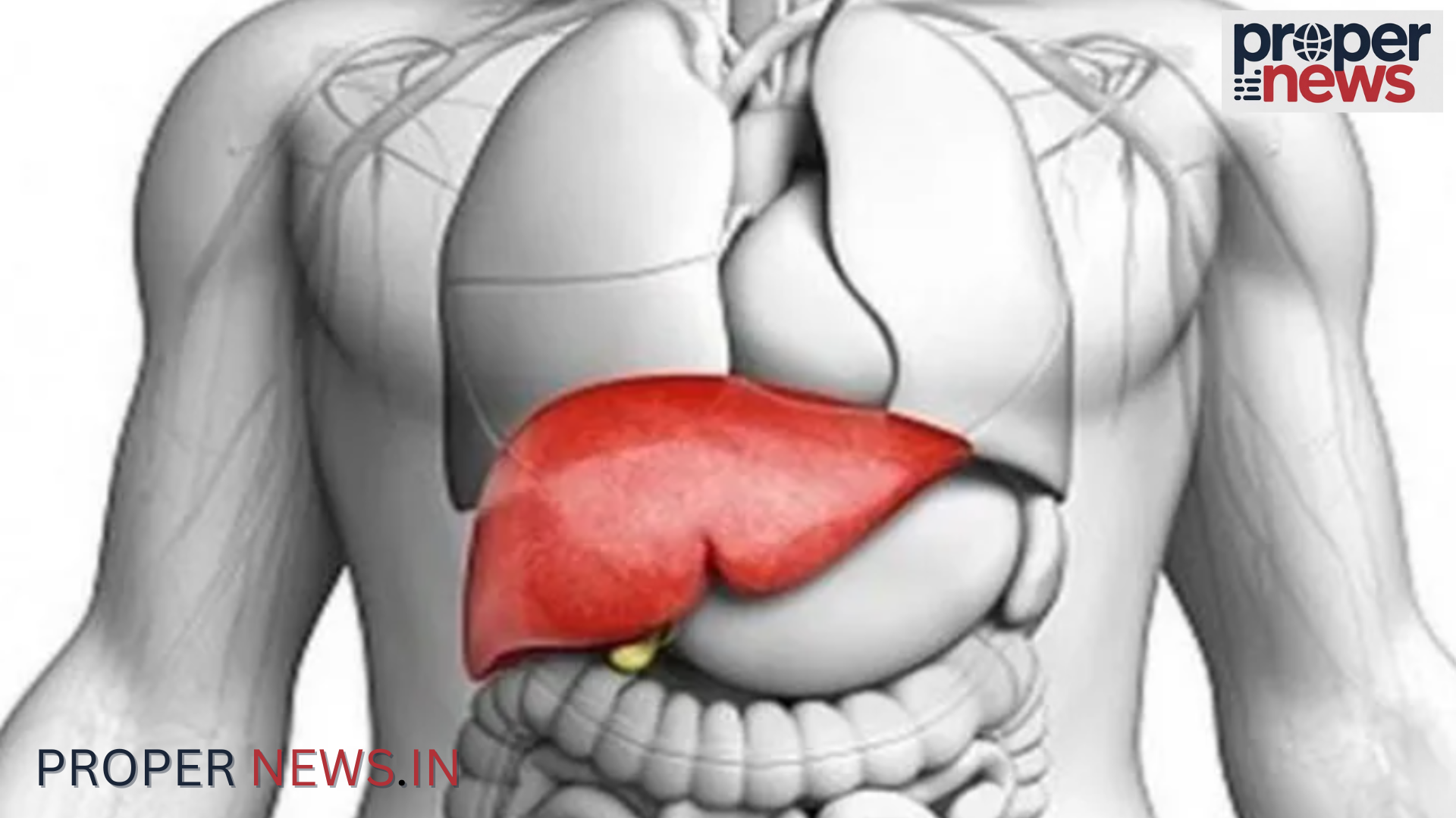 World Liver Day 2026