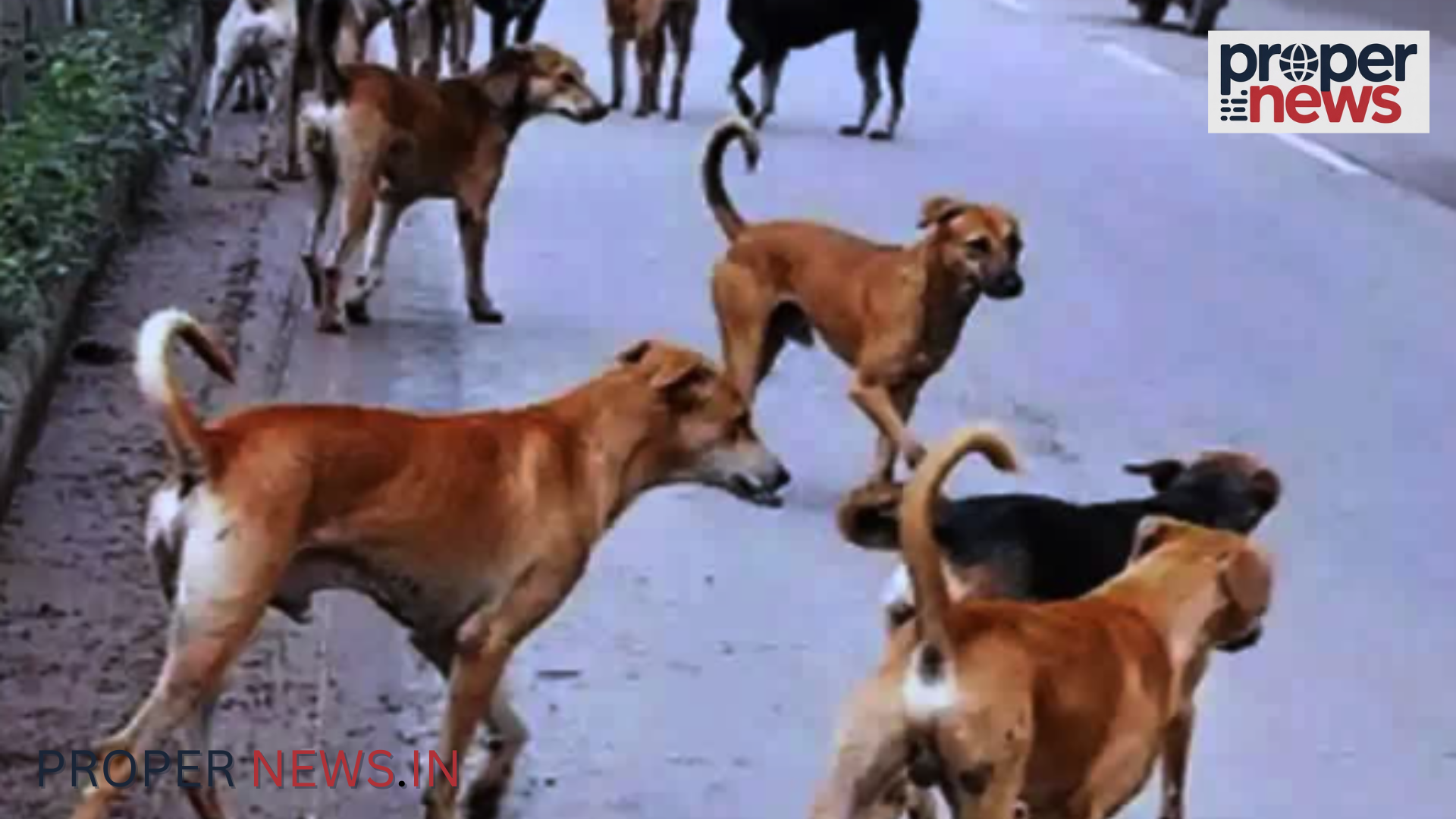 Shivpuri