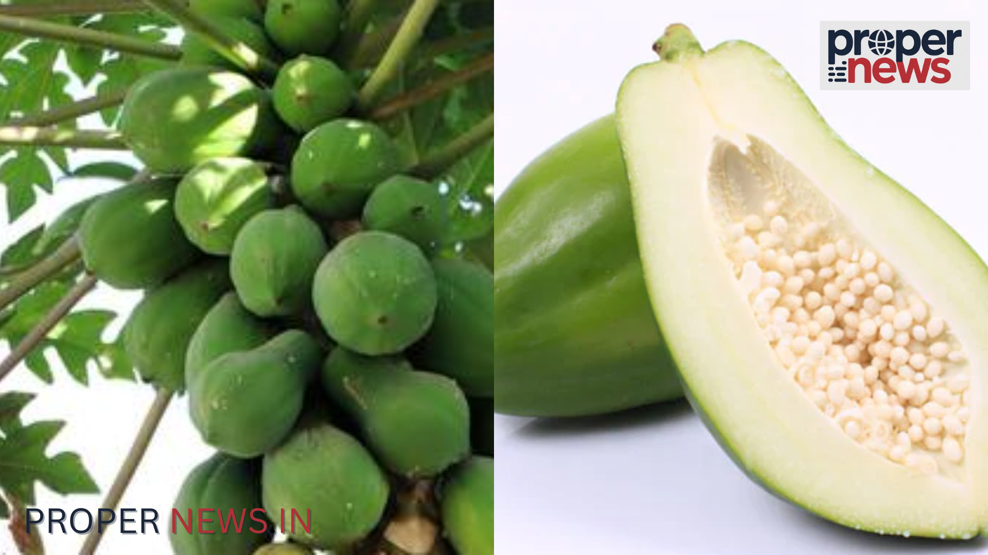 Raw Papaya