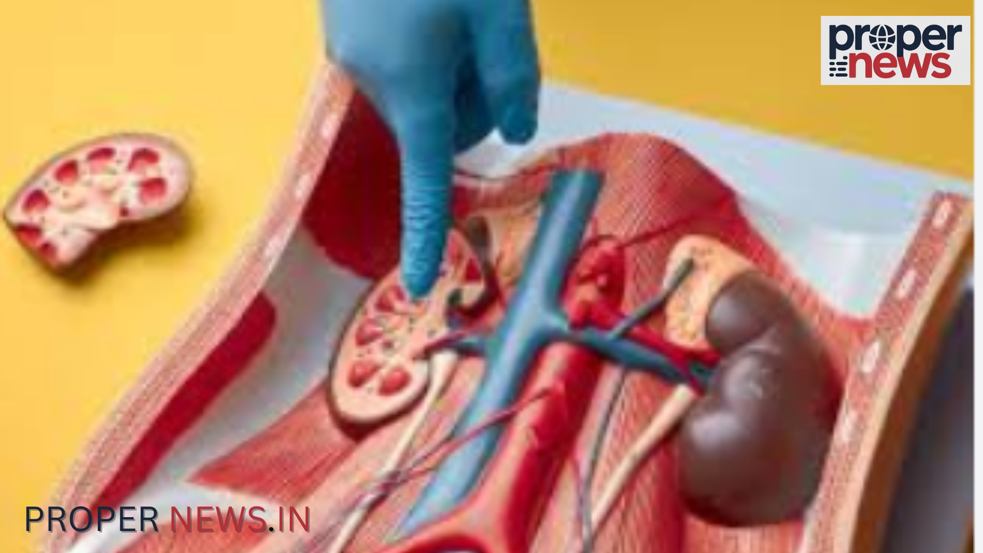 Kidney Health