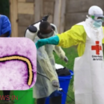 Congo Ebola Virus: कांगो में वायरस के दुर्लभ वैरिएंट से 80 की मौत, विश्व स्वास्थ्य संगठन ने जारी की वैश्विक आपातकाल की चेतावनी