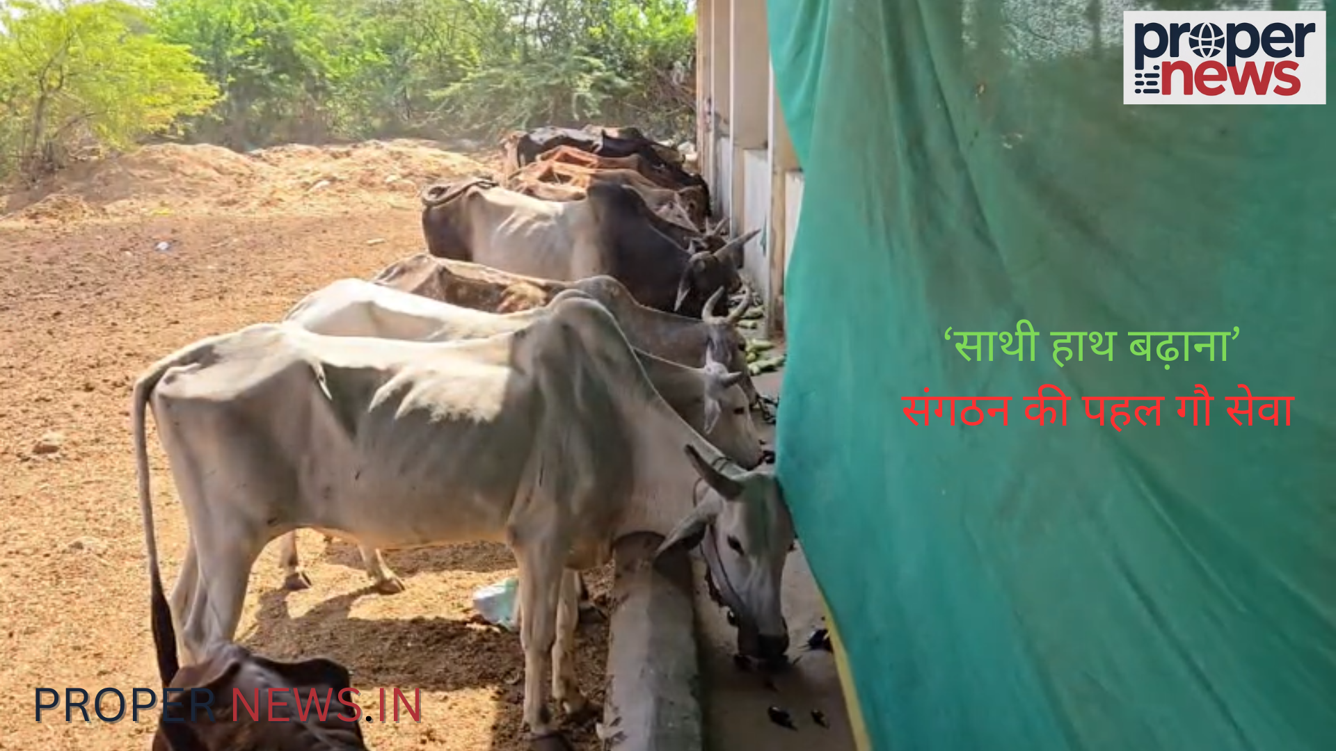 Dabra