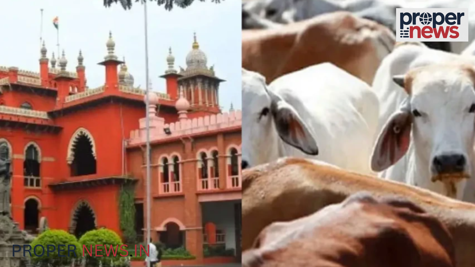 Madras High Court's Big decision