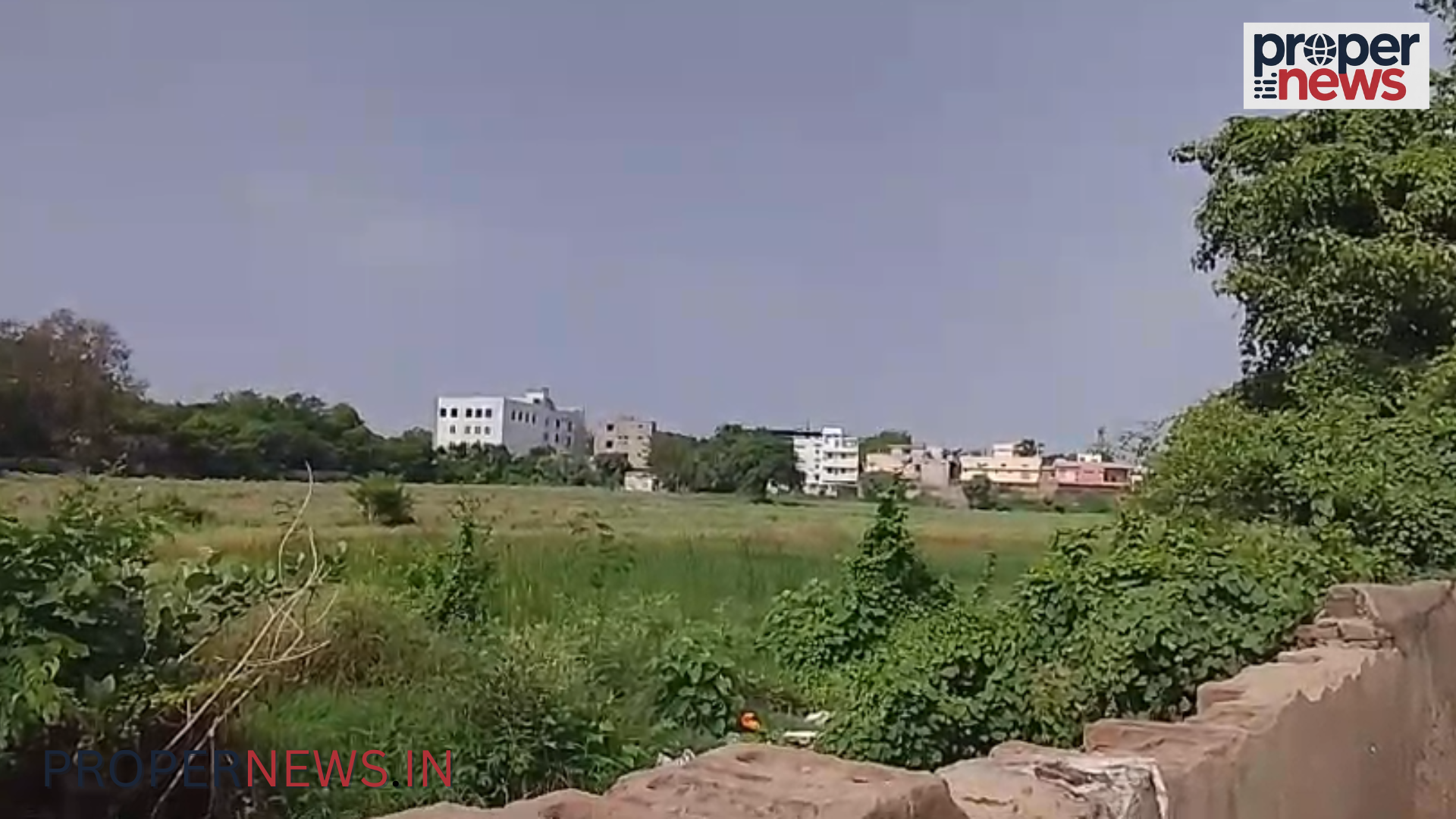 Dabra