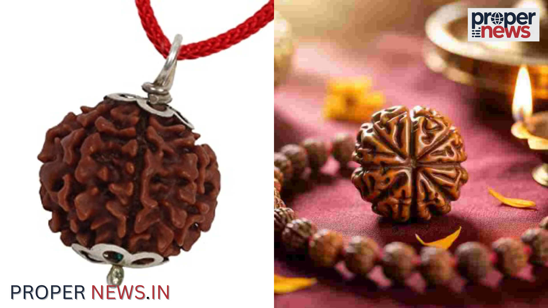 4 Mukhi Rudraksha