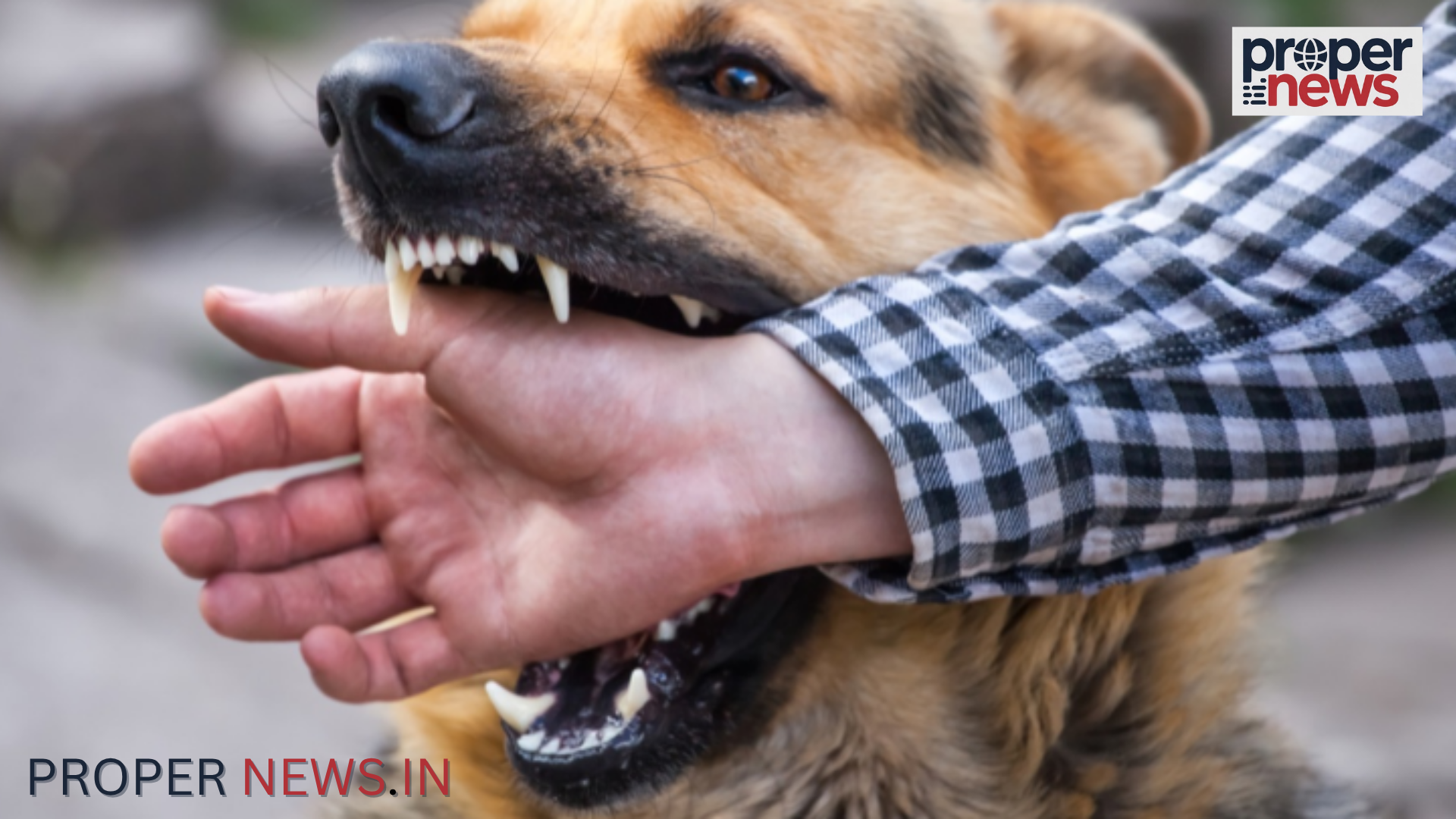 Rabies