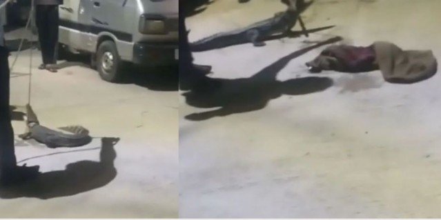 4-foot crocodile hidden under car in Kota