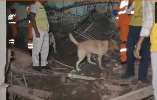 Harsh Vihar Building Collapse