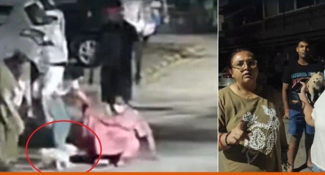 Ghaziabad society dog attack
