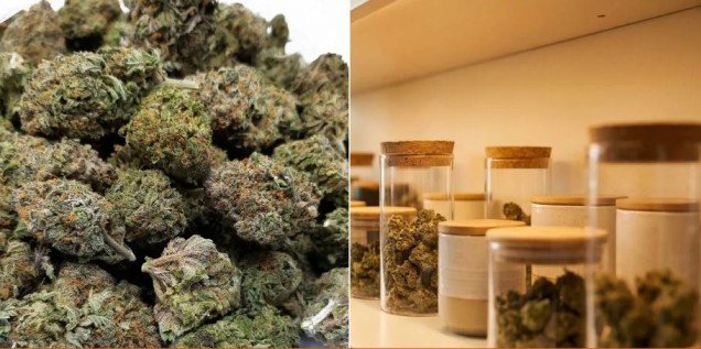 Female drug peddler arrested
