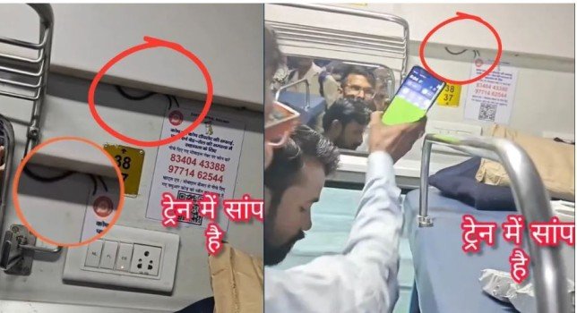 Snake Found in Train Coach