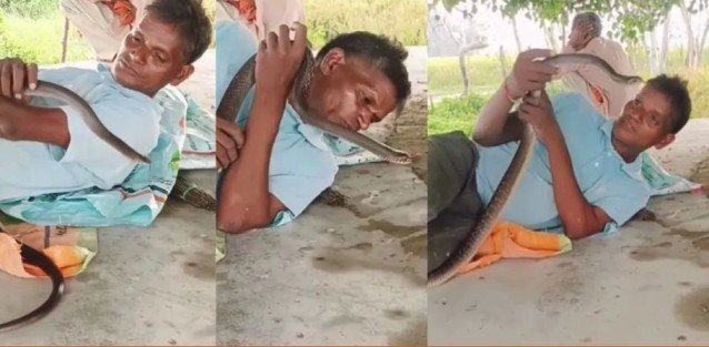 Snake Handler Death